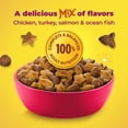 thumbnail image 5 of Meow Mix Hairball Control Dry Cat Food for Adult Cat, 6.3 lb. Bag, 5 of 10