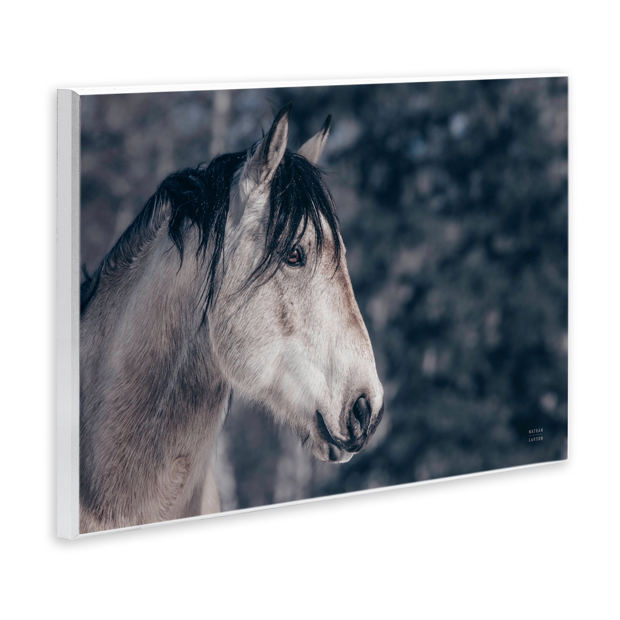 Stupell Industries Intense Gaze Stallion Animals & Insects Photography Unframed Art Print Wall Art, 15 x 10
