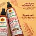 thumbnail image 2 of Tropic Isle Living Strong Root Red Pimento Hair Leave-In Moisture Mist 8oz, 2 of 6