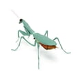 thumbnail image 1 of Série de Livres Grande Image Mantis Araignée Scorpion Guêpe Simulation Figurine d'Action Jouets, 1 of 5