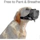 thumbnail image 5 of Nylon Soft Dog Muzzle, Anti-bit, Anti-bark, Anti-chew, Adjustable Ring (xl, Black)-yvan-yvan, 5 of 5