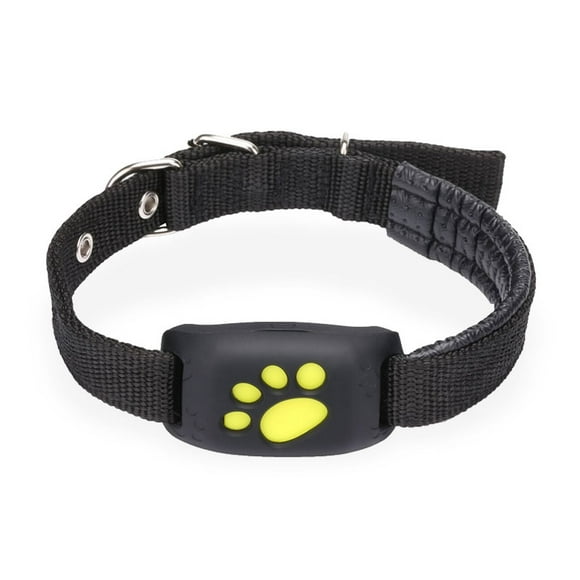 Gps Cat Collar