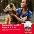 thumbnail image 2 of Nutri-Vet Hip and Joint Care Chewables for Dogs, Regular Strength, 75 Count, 2 of 9