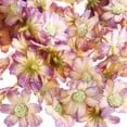 thumbnail image 3 of 100 Piezas Artificiales de Gerbera, Boda, Hogar, Margaritas, Cabezas , Arreglos Florales, Decoración, Manualidades Café ligero Colco Flor de Margarita de seda artificial, 3 of 8