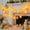 B, variant on Easter Egg String Lights – 10 Cracked Shell LED Warm White Lights, Battery Operated Holiday Décor for Home, Bedroom, Party, Spring Indoor Decorations – 118 Inches