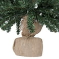 thumbnail image 3 of Vickerman 30" Anoka Pine Artificial Christmas Tree, Unlit, 3 of 6