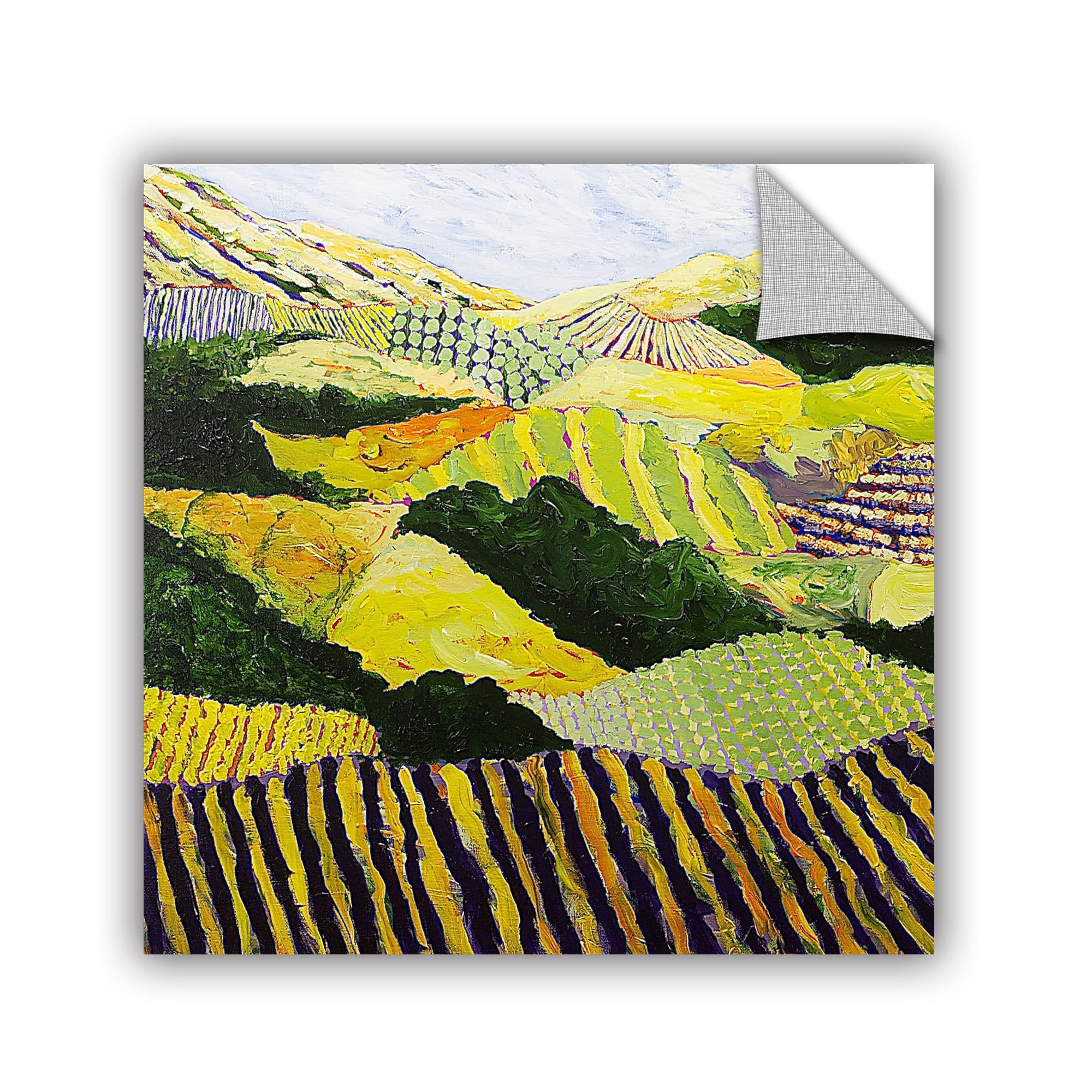 ArtAppealz Allan Friedlander "Delta Fields" Removable Wall Art