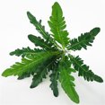 thumbnail image 4 of 12-branches Artificial Fern Plant Leaf Table Centerpiece plastic leaf; artificial Plant Decor Plastic Fake Fern Ornament, 4 of 9