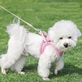 thumbnail image 2 of Soft Mesh Step In Dog Harness And Leash Set With Reflective Bands For Secure Walking Comfort Adjustable No Pull Pet Supplies For Small Dogs And Cats, 2 of 2