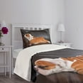 thumbnail image 3 of Ambesonne English Bulldog Quilted Bedspread Set 2 Pcs, Resting Puppy, Twin Size, Seal Brown White Brown, 3 of 5