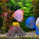 thumbnail image 4 of KAKOWELY Modelo de resina para acuario, decoración de paisaje volcánico, adornos para tanque, 4 of 5