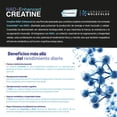 thumbnail image 4 of Creatina Monohidratada Micronizada Creapure Reforzada con NAD+ Eternal Nutrition 550 Gramos 5 gr, 4 of 6