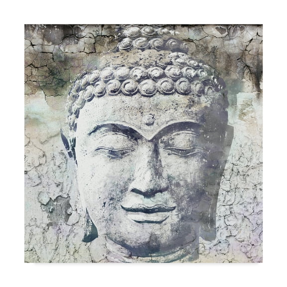 Trademark Fine Art 'Timeless Buddha I' Canvas Art by Surma & Guillen
