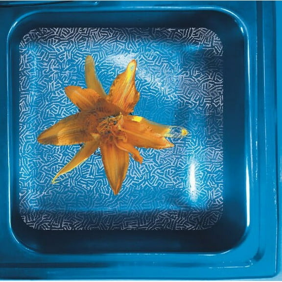 June Star - HOW WE SEE IT NOW - Music & Performance - CD