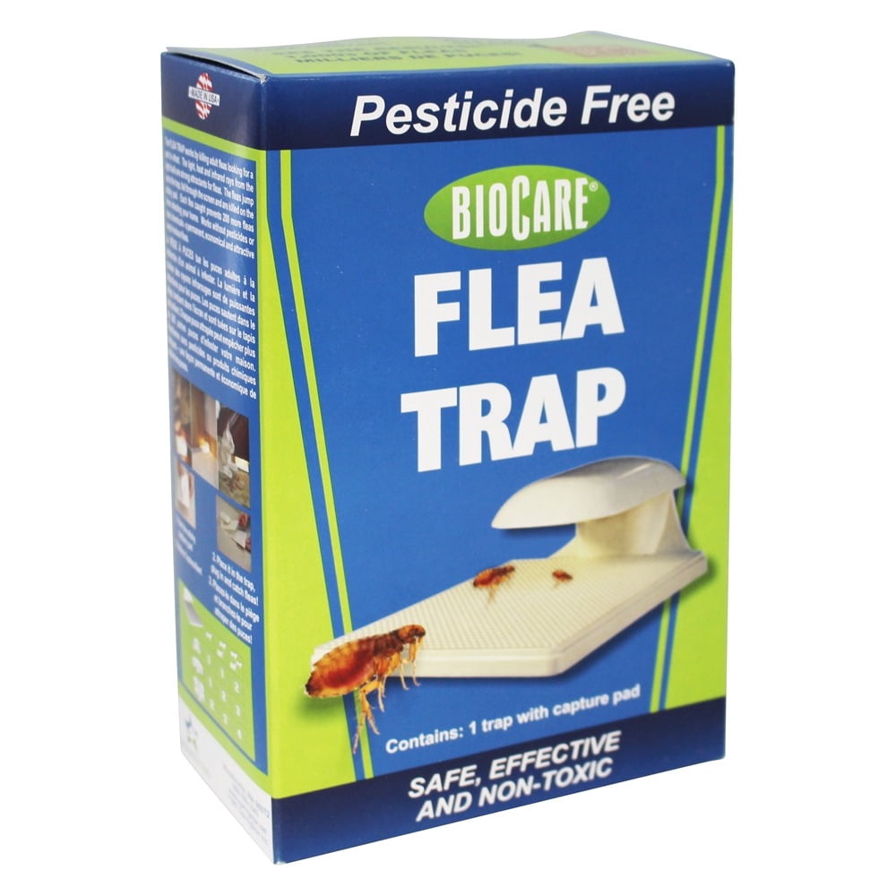 Flea Trap