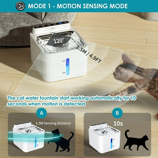 Cat water fountain walmart canada cheap