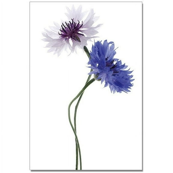 Epic Graffiti  Blue Cyani Acrylic Wall Art, 20" x 14"