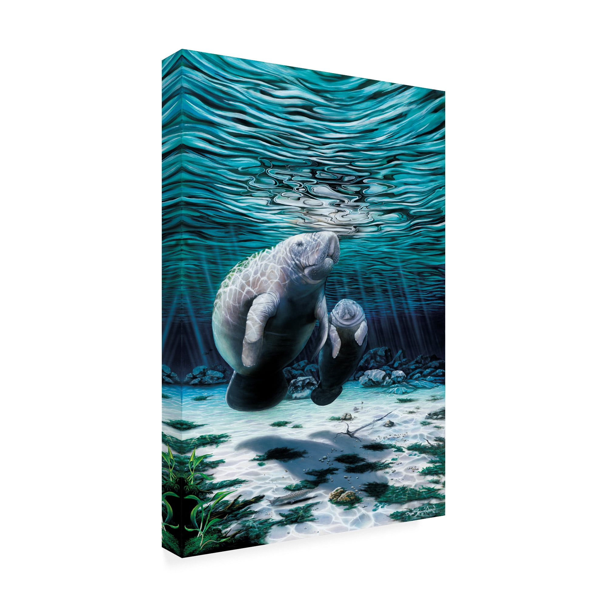 Trademark Fine Art 'Mermaids Of Crystal River' Canvas Art by Dann Spider Warren