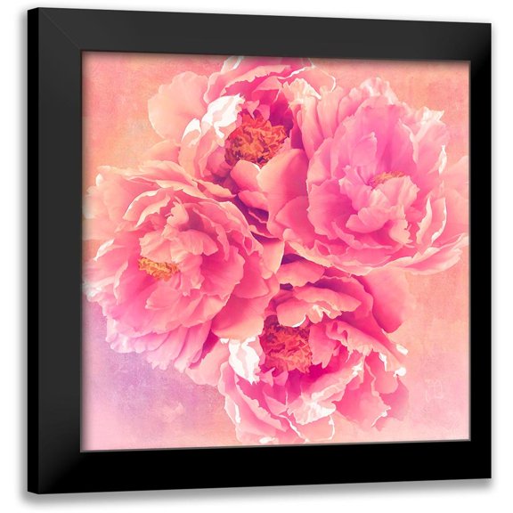 Lavoie, Tina 12x12 Black Modern Framed Museum Art Print Titled - Peony Garden