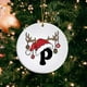 thumbnail image 1 of Adornos navideños, adornos navideños, regalos navideños, adorno con nombre y letra, adorno con inicial familiar, adorno personalizado, adorno navideño con nombre familiar, etiqueta acrílica para regal, 1 of 9