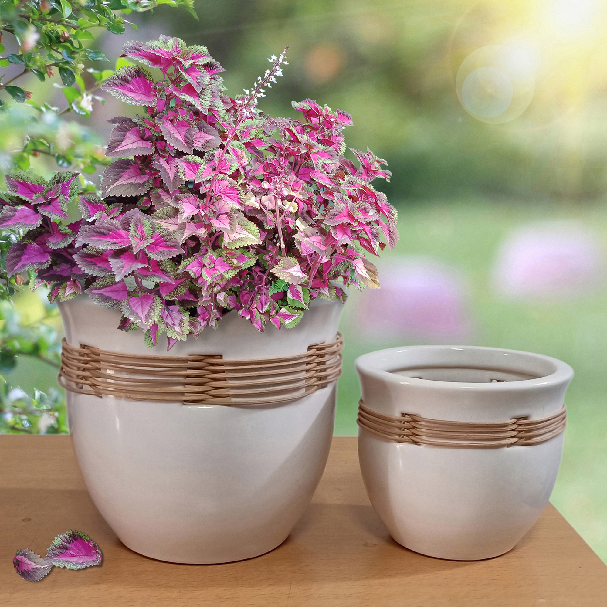 Better Homes & Gardens 8″/6″ White Ceramic Basket Pot – Set of 2