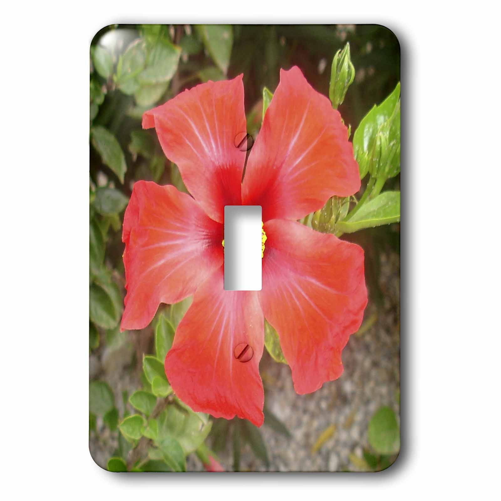 3dRose Tropical Hibiscus bunga raya, flower, flowers, hibiscus