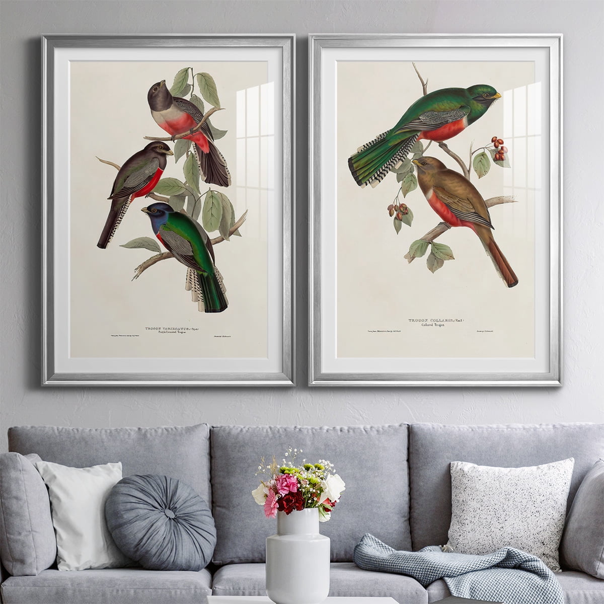 Wexford Home Elegant Trogons V Premium Framed Print, 18.5" x 24.5" - Ready to Hang, Silver (Set of 2)