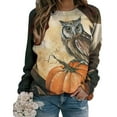 thumbnail image 1 of Tops casuales de cuello redondo de manga larga con estampado de Halloween para mujer Fridja czfsfas2719, 1 of 5