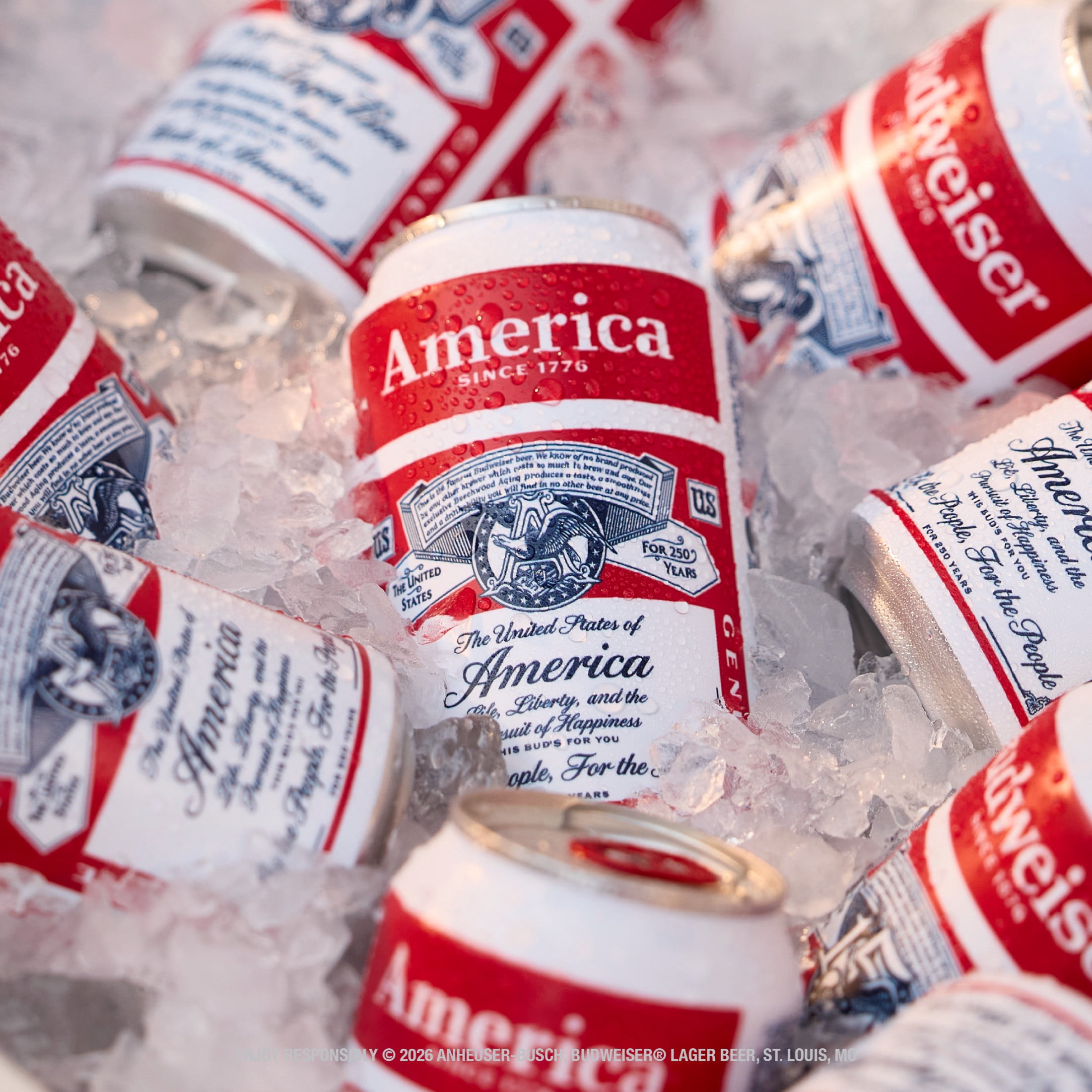 Budweiser American Lager Beer 36 pack 12 fl oz Aluminum Cans 5% ABV