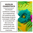 thumbnail image 3 of Paper Accents Cardstock 8.5"x 11" Muslin 73lb Caribbean Blue 25pc, 3 of 7