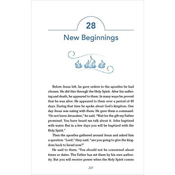 Pre-Owned Nirv, the Story for Kids, Paperback: Discover the Bible from Beginning to End (Paperback) 0310759641 9780310759645