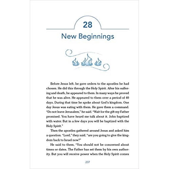 Pre-Owned Nirv, the Story for Kids, Paperback: Discover the Bible from Beginning to End (Paperback) 0310759641 9780310759645