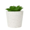 thumbnail image 1 of Anko Artificial Succulent #2 in Pot, 1 of 5