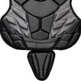 thumbnail image 3 of Champion Sports 15" Lightweight Multi-layered Pony League Chest Protector - Removable Shoulder Cap and Tail - Chest Protector - Ages: 12-16, 3 of 6