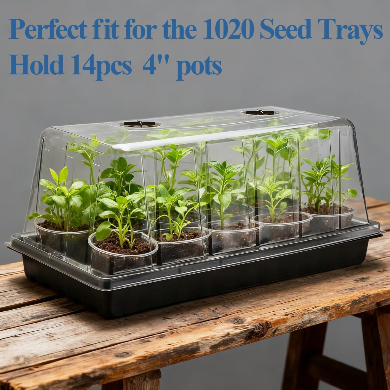 Plant Tray with Tall Dome, 5-Pack Extra Large Seed Starter Tray with Humidity Domes, Heavy Duty Trays and Flats with Lid, Seed Germination Mini Greenhouse for Balcony Garden