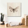 thumbnail image 6 of Epic Graffiti 'Sepia Moth' by Incado, Giclee Canvas Wall Art, 18"x18", 6 of 8