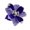 A, variant on Deep Royal Blue Velvet Artificial Christmas Poinsettia Flower Ornament, 20 x 20 cm (7.87 x 7.87 in) Glitter-Edged Wired Petal Holiday Bloom for Christmas Tree, Wreath and Garland Decor