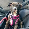 thumbnail image 5 of Voyager Step-in Air All Weather Mesh Harness and Reflective Dog 5 ft Leash Combo with Neoprene Handle, for Small, Medium and Large Breed Puppies - Black/Pink Trim, Small, 5 of 9