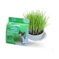 thumbnail image 2 of Van Ness Cat Grass Oat Garden Kit, 2 of 3