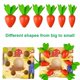 thumbnail image 5 of Juego De Captura De Oruga De Pájaro Carpintero 3 En 1 Para Niños, Juego Magnético Para Niños, Juguete Decorativo De Árbol De Manzana, Juguete De Clasificación Moyic FN005572-00, 5 of 6