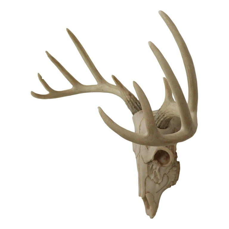 Ebros Gift Rustic Hunter Deer Skull Antler Wall Decor, 15.5 x
