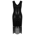 thumbnail image 6 of PrettyGuide Women's Flapper Dress Sequin Beaded Fringed 1920s Style Dress Art Deco Vintage Gatsby Dress, 6 of 8
