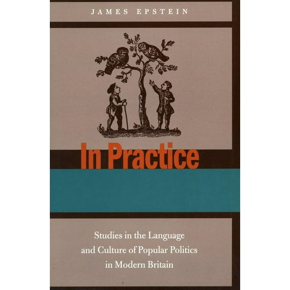 In Practice : Studies in the Language and Culture of Popular Politics in Modern Britain (Hardcover)