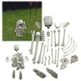 thumbnail image 1 of JJKBVCLO 28 Of Human Skeleton Bulk Suit Halloween Simulation Model Escape Loose Bone Props Atmosphere Props Decoration, 1 of 9