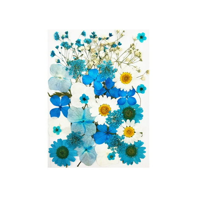 Dried Flowers Set Scrapbooking Decorating Real Flower Decal Dried Flowers Set Handicraft Filling Pressed Specimen Label for Makeup Phone Use Type 4
