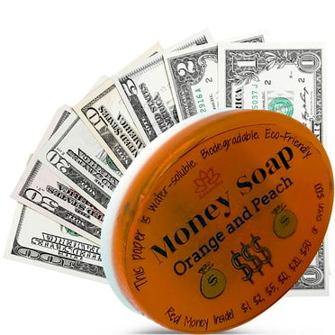 Soap Bar with Money Inside from Glycerin with Gift inside - Made in USA (Fruit Mix)