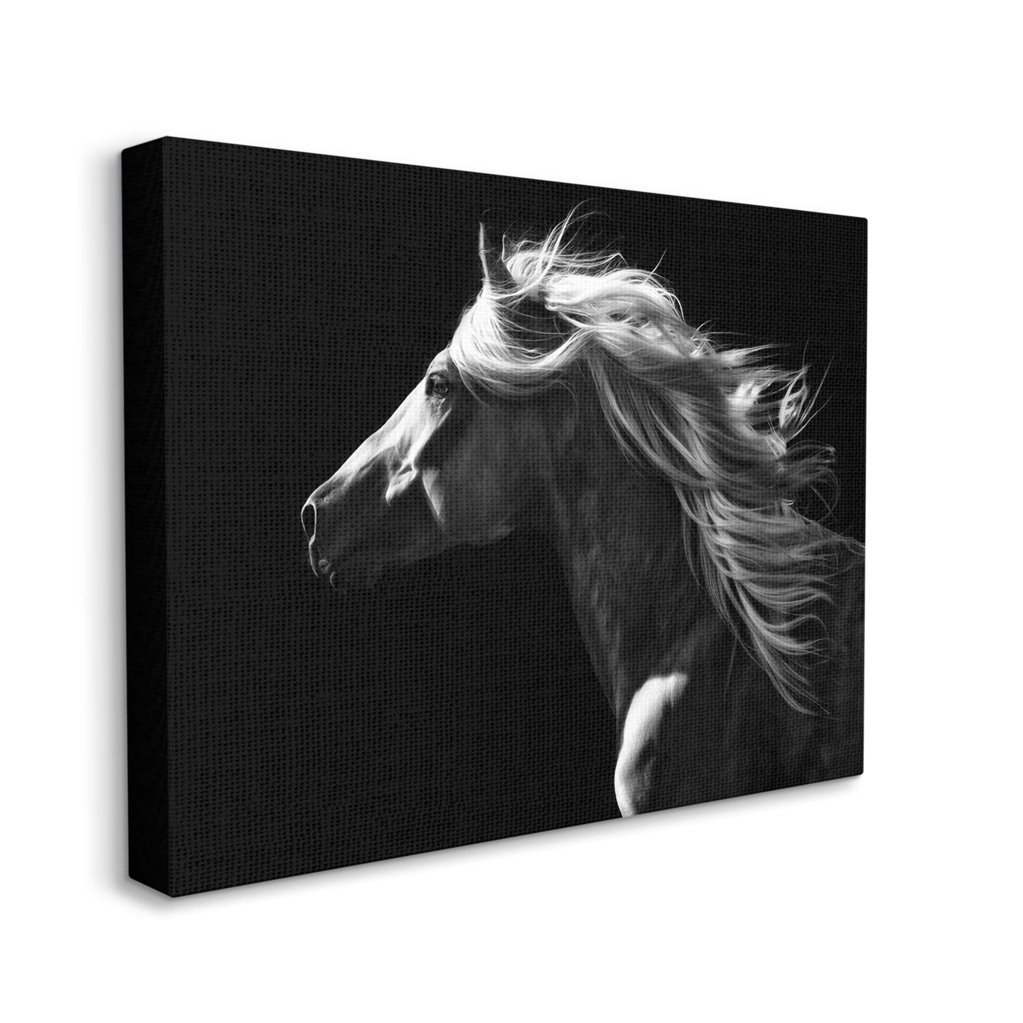 Stupell Industries Windblown Stallion Mane Animals & Insects Photography Gallery Wrapped Canvas Art Print Wall Art, 40 x 30