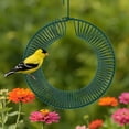 thumbnail image 5 of Carbon Steel Peanut Bird Feeder With Hanging Hook Hanging Wreath Birdfeeders Rustproof & Weatherproof Peanut Ring Squirrels Food Container For Outdoor Birds Squirrels Feeding(green), 5 of 10