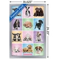 thumbnail image 3 of Keith Kimberlin - Puppies - Cuties Grid, 3 of 5