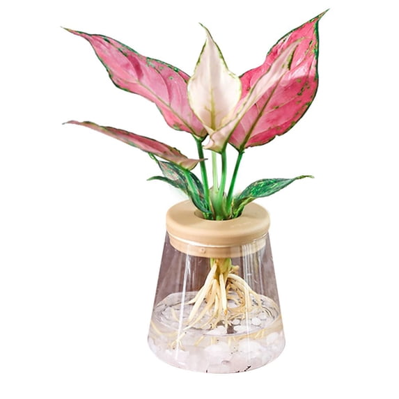 Round 1 pcs for Indoor/Outdoor Resin Material Aquatic Plant Imitation Glass Flower Planter Garden Supplies Hydroponic Flowerpot Home Decor C